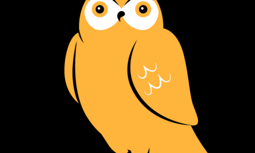 Luna die schlaue Eule