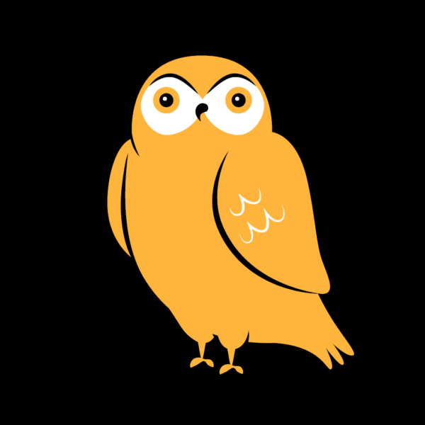 Luna die schlaue Eule